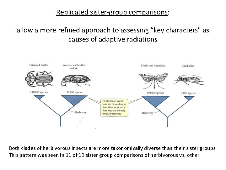 Replicated sister-group comparisons: allow a more refined approach to assessing “key characters” as causes