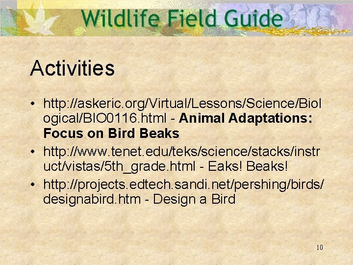 Activities • http: //askeric. org/Virtual/Lessons/Science/Biol ogical/BIO 0116. html - Animal Adaptations: Focus on Bird