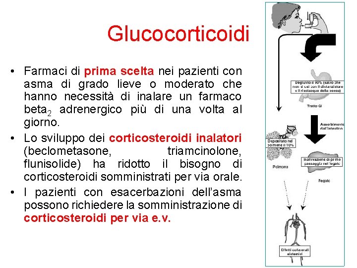 Glucocorticoidi • Farmaci di prima scelta nei pazienti con asma di grado lieve o