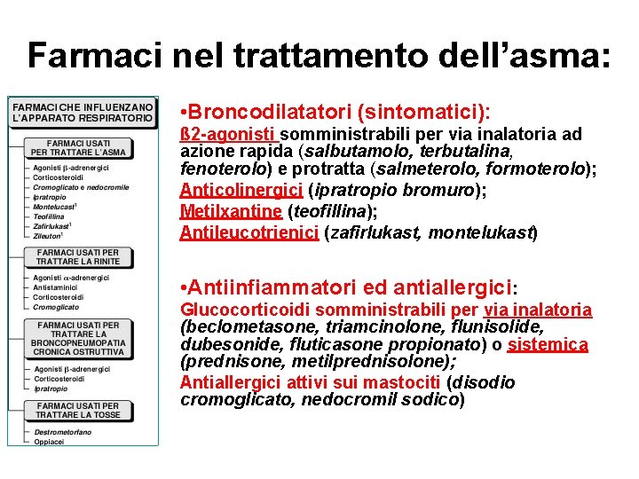 Farmaci nel trattamento dell’asma: • Broncodilatatori (sintomatici): ß 2 -agonisti somministrabili per via inalatoria
