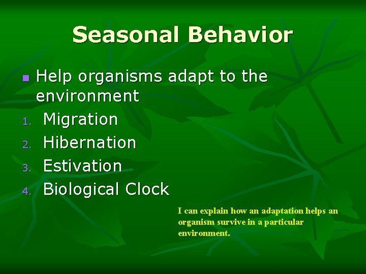 Seasonal Behavior Help organisms adapt to the environment 1. Migration 2. Hibernation 3. Estivation