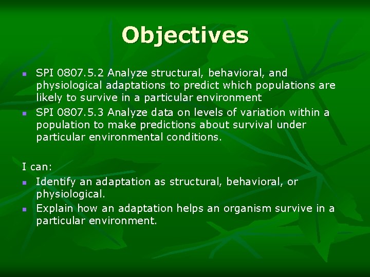Objectives n n SPI 0807. 5. 2 Analyze structural, behavioral, and physiological adaptations to
