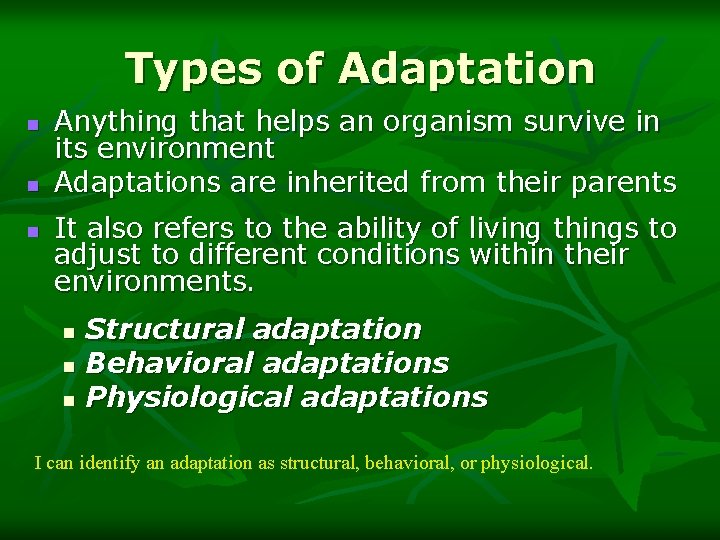 Types of Adaptation n Anything that helps an organism survive in its environment Adaptations