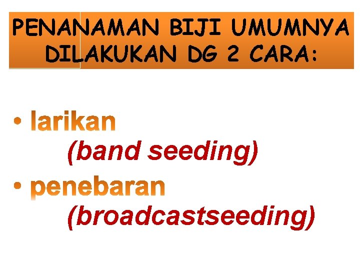 PENANAMAN BIJI UMUMNYA DILAKUKAN DG 2 CARA: (band seeding) (broadcastseeding) 