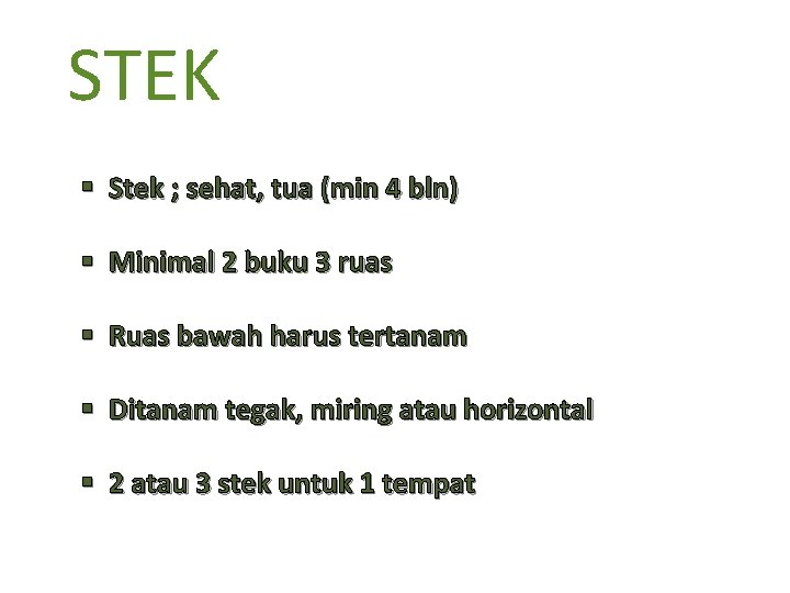 STEK § Stek ; sehat, tua (min 4 bln) § Minimal 2 buku 3