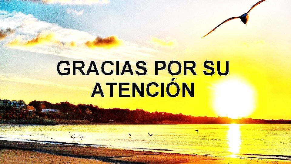 GRACIAS POR SU ATENCIÓN 