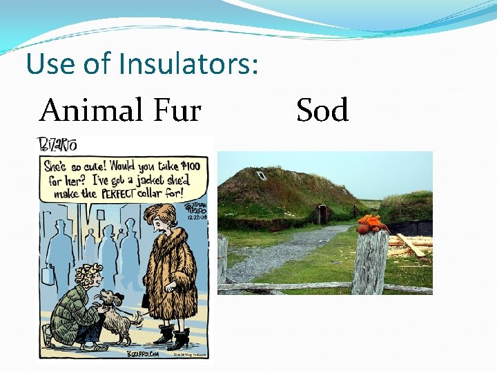 Use of Insulators: Animal Fur Sod 