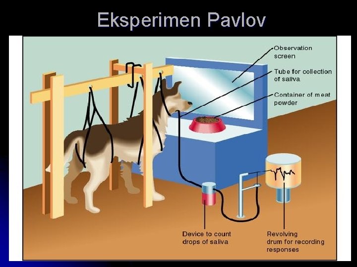 Eksperimen Pavlov by FH 