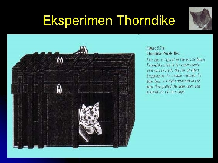 Eksperimen Thorndike by FH 