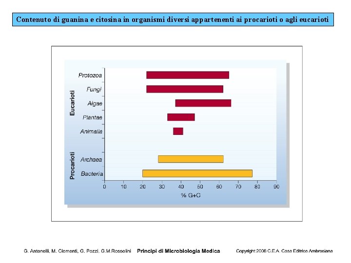 Contenuto di guanina e citosina in organismi diversi appartenenti ai procarioti o agli eucarioti