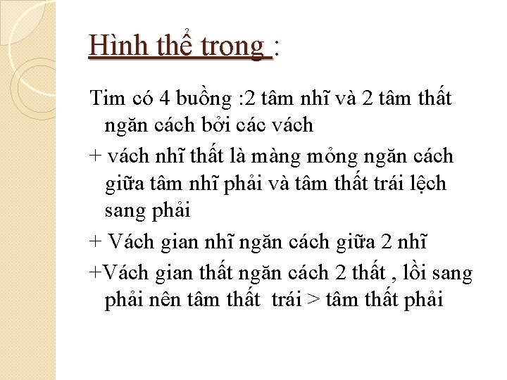 Hình thể trong : Tim có 4 buồng : 2 tâm nhĩ và 2