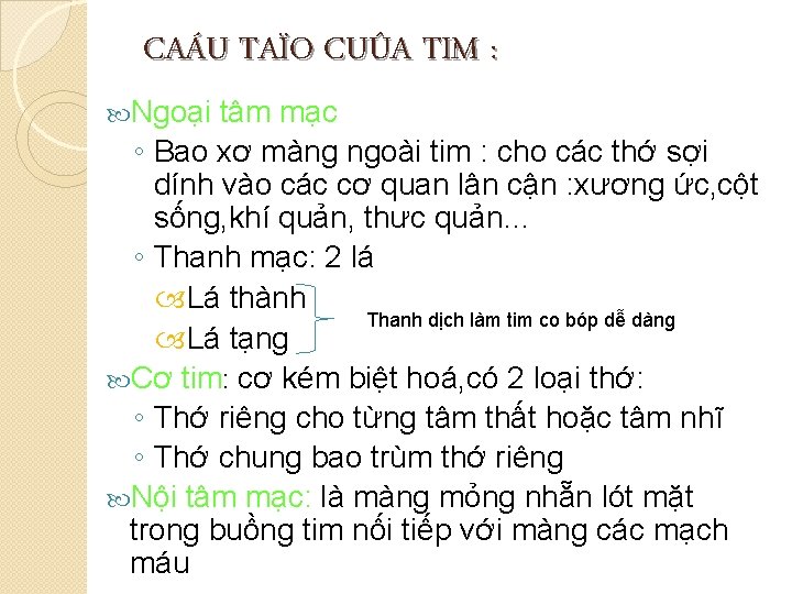 CAÁU TAÏO CUÛA TIM : Ngoại tâm mạc ◦ Bao xơ màng ngoài tim