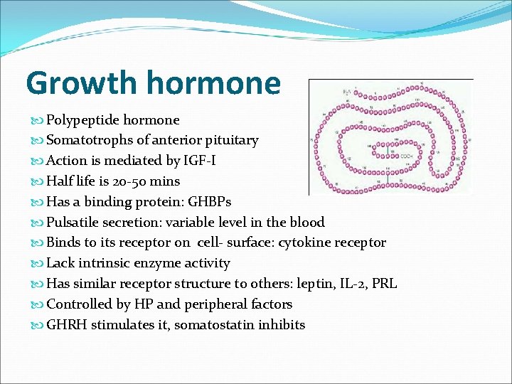 Growth hormone Polypeptide hormone Somatotrophs of anterior pituitary Action is mediated by IGF-I Half