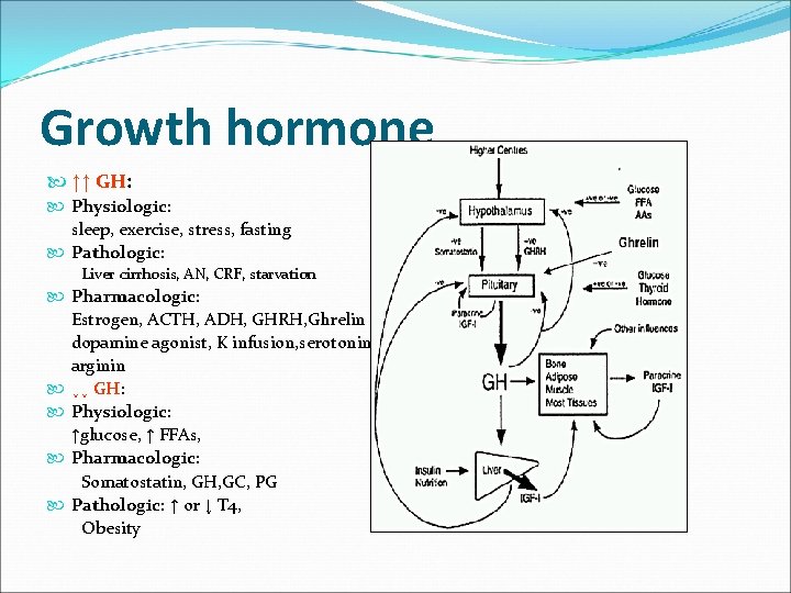 Growth hormone ↑↑ GH: Physiologic: sleep, exercise, stress, fasting Pathologic: Liver cirrhosis, AN, CRF,