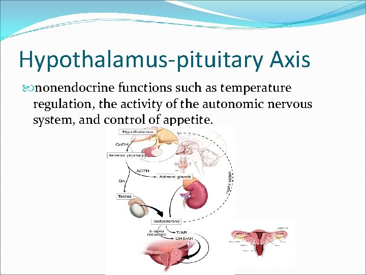 Hypothalamus-pituitary Axis nonendocrine functions such as temperature regulation, the activity of the autonomic nervous
