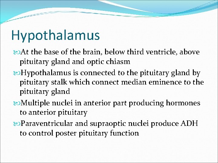 Hypothalamus At the base of the brain, below third ventricle, above pituitary gland optic