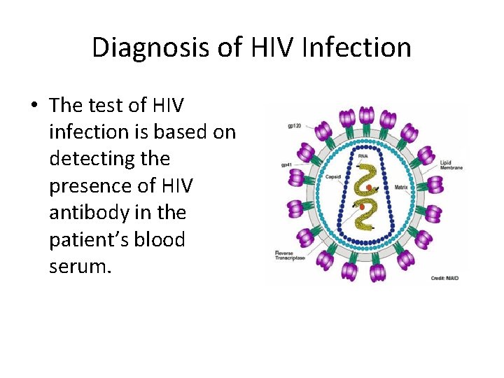 Diagnosis of HIV Infection • The test of HIV infection is based on detecting