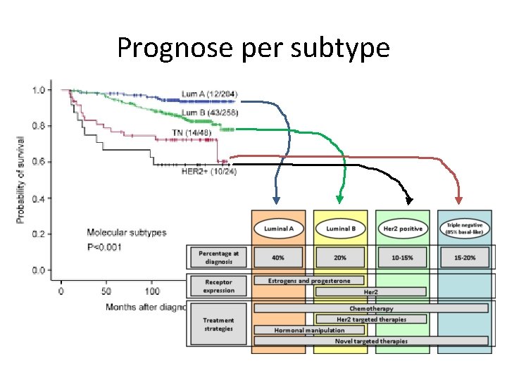 Prognose per subtype 