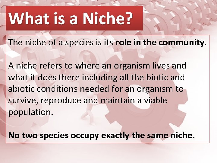 What is a Niche? The niche of a species is its role in the