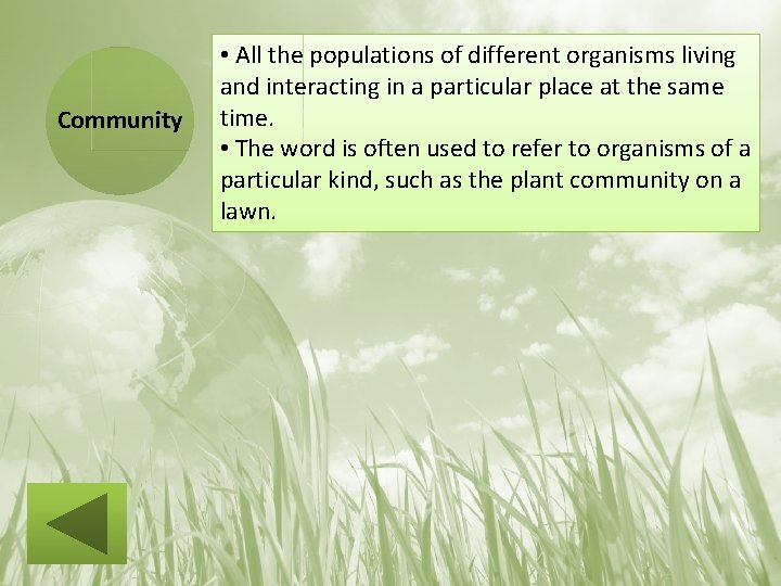 Community • All the populations of different organisms living and interacting in a particular