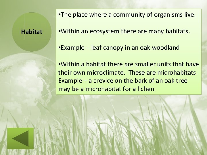  • The place where a community of organisms live. Habitat • Within an