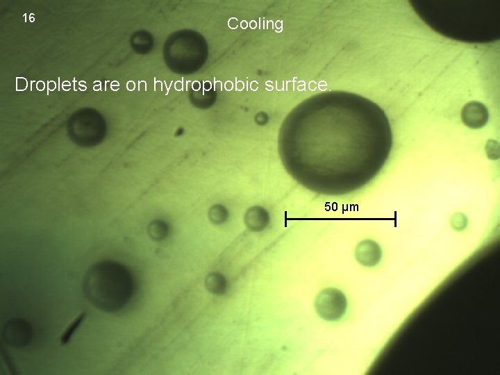 16 Cooling Droplets are on hydrophobic surface. 50 μm 16 Cooling Droplets are on hydrophobic surface. 50 μm