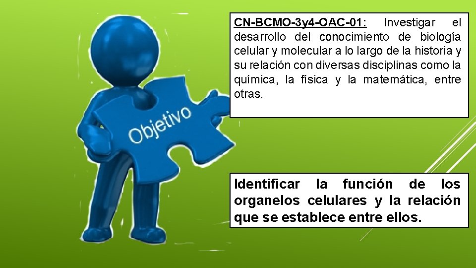 CN-BCMO-3 y 4 -OAC-01: Investigar el desarrollo del conocimiento de biología celular y molecular