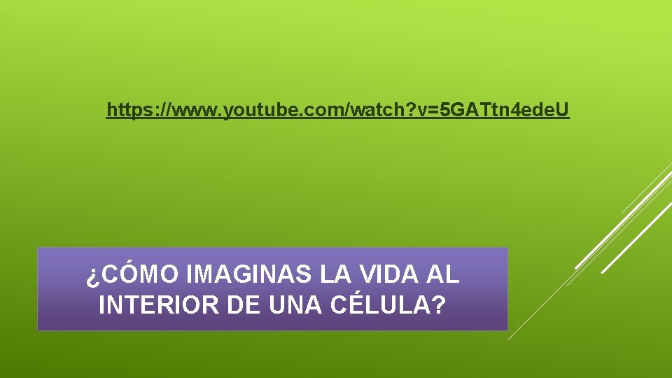 https: //www. youtube. com/watch? v=5 GATtn 4 ede. U ¿CÓMO IMAGINAS LA VIDA AL