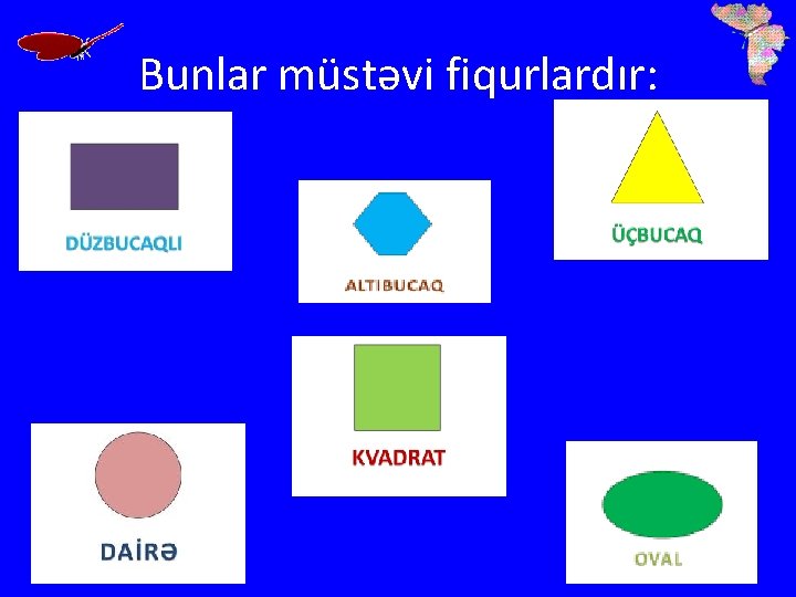 Bunlar müstəvi fiqurlardır: 