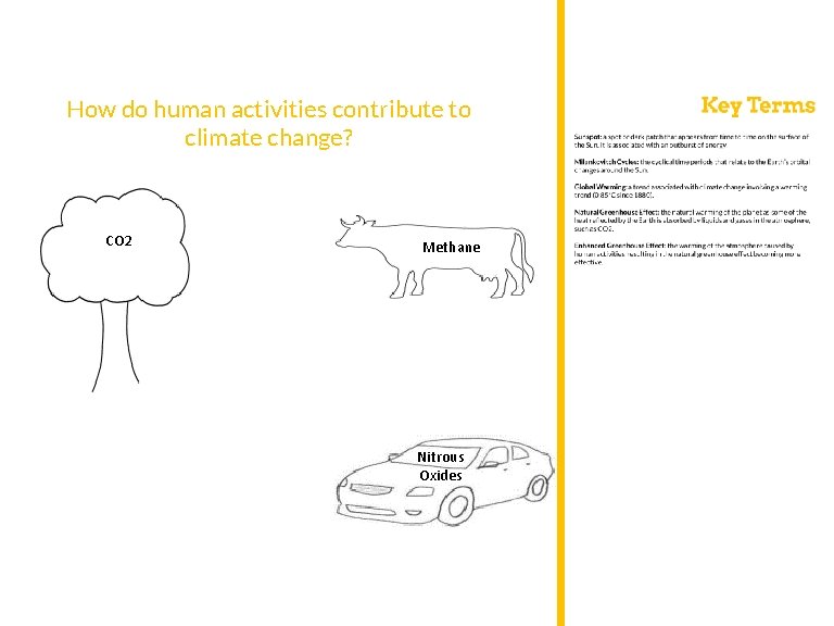 How do human activities contribute to climate change? CO 2 Methane Nitrous Oxides 