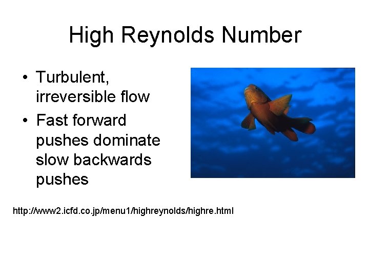 High Reynolds Number • Turbulent, irreversible flow • Fast forward pushes dominate slow backwards