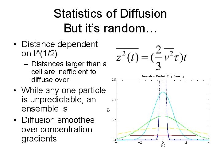 Statistics of Diffusion But it’s random… • Distance dependent on t^(1/2) – Distances larger