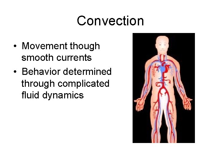 Convection • Movement though smooth currents • Behavior determined through complicated fluid dynamics 