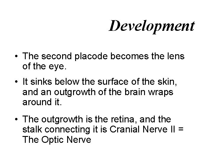 Development • The second placode becomes the lens of the eye. • It sinks