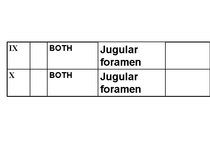 IX BOTH Jugular foramen 