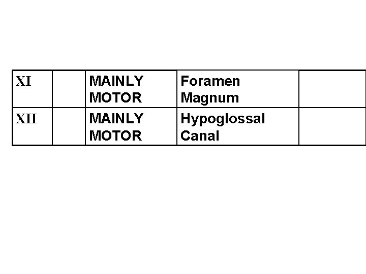 XI XII MAINLY MOTOR Foramen Magnum Hypoglossal Canal 