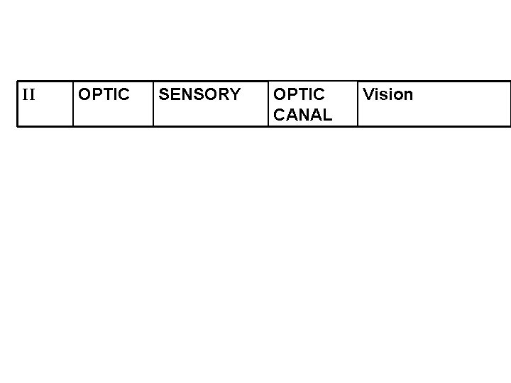 II OPTIC SENSORY OPTIC CANAL Vision 