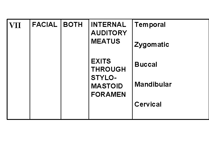 VII FACIAL BOTH INTERNAL AUDITORY MEATUS Temporal EXITS THROUGH STYLOMASTOID FORAMEN Buccal Zygomatic Mandibular