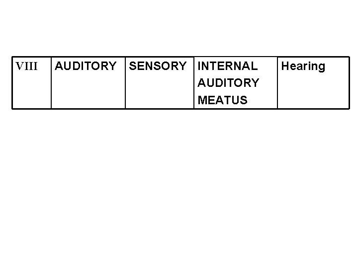 VIII AUDITORY SENSORY INTERNAL AUDITORY MEATUS Hearing 