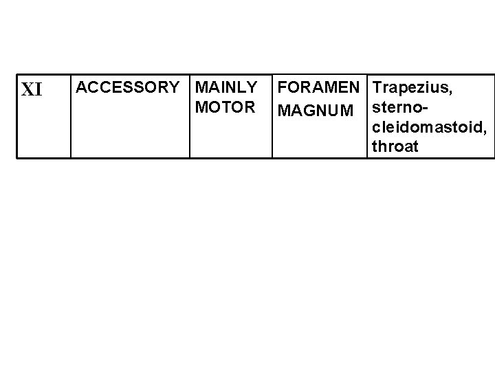 XI ACCESSORY MAINLY MOTOR FORAMEN Trapezius, MAGNUM sternocleidomastoid, throat 