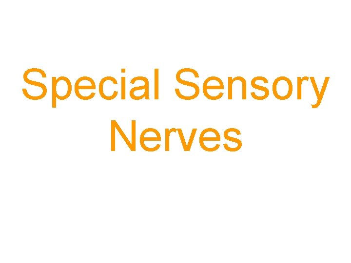 Special Sensory Nerves 