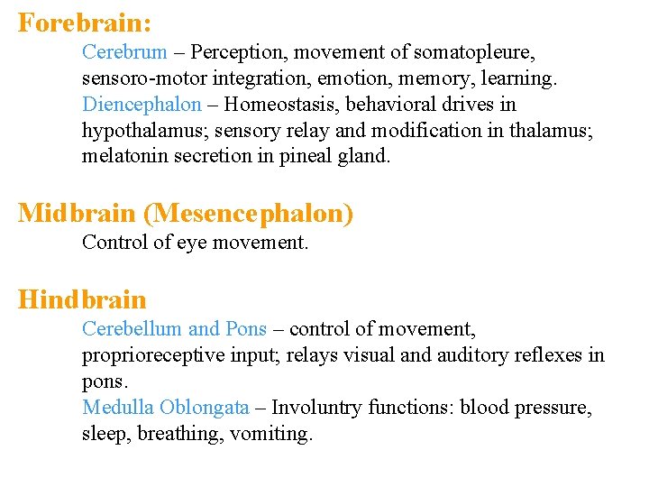 Forebrain: Cerebrum – Perception, movement of somatopleure, sensoro-motor integration, emotion, memory, learning. Diencephalon –