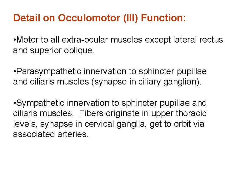 Detail on Occulomotor (III) Function: • Motor to all extra-ocular muscles except lateral rectus