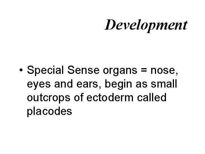 Development • Special Sense organs = nose, eyes and ears, begin as small outcrops