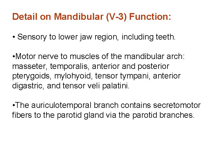 Detail on Mandibular (V-3) Function: • Sensory to lower jaw region, including teeth. •