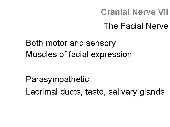 Cranial Nerve VII The Facial Nerve Both motor and sensory Muscles of facial expression