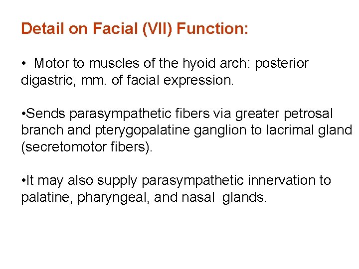 Detail on Facial (VII) Function: • Motor to muscles of the hyoid arch: posterior