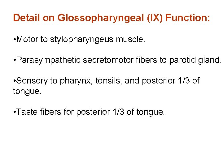 Detail on Glossopharyngeal (IX) Function: • Motor to stylopharyngeus muscle. • Parasympathetic secretomotor fibers