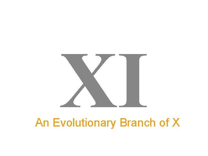 XI An Evolutionary Branch of X 