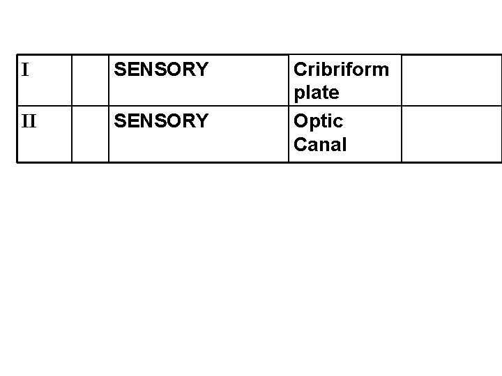 I SENSORY II SENSORY Cribriform plate Optic Canal 